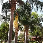 Concordia 4*